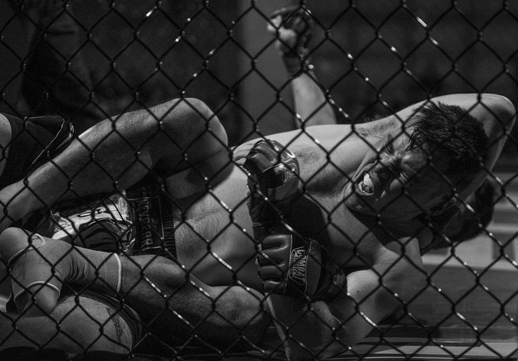 MMA 2.23